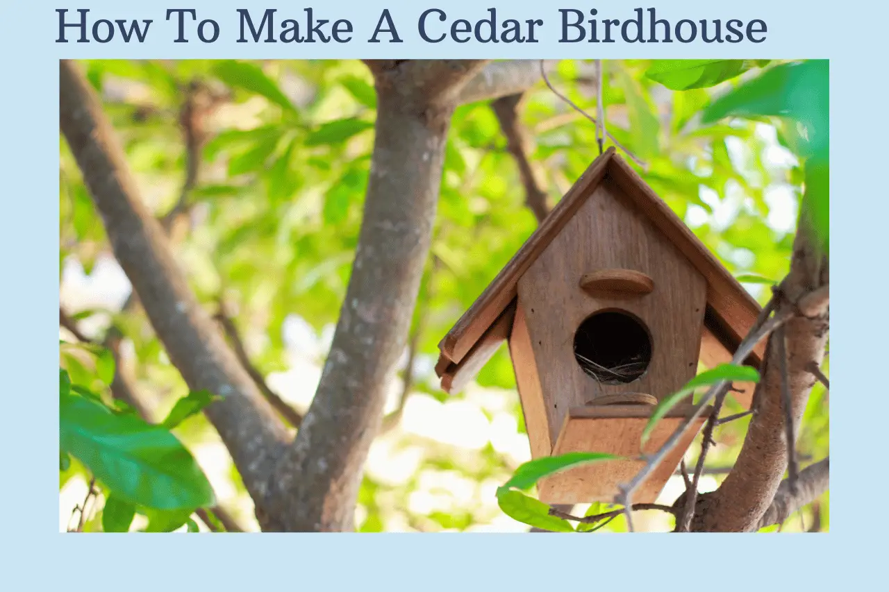 How to build a birdhouse